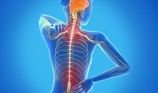 Fadiga e Esclerose Múltipla qual é a correlação entre as duas